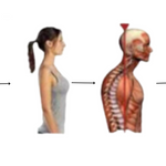 CORRECTOR DE POSTURA CON SENSOR INTELIGENTE + ENVÍO GRATIS